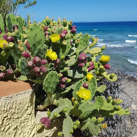 Sole E Mare Castelsardo