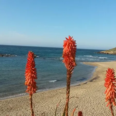 Sole E Mare Lejlighed Castelsardo